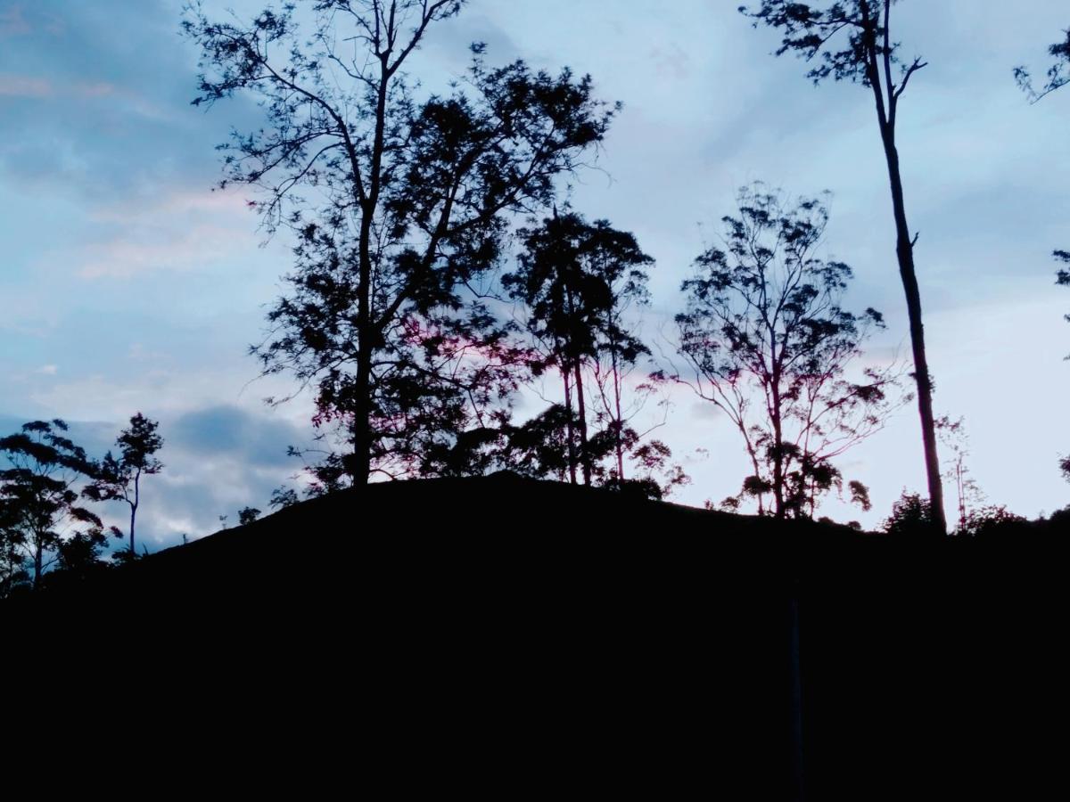 Ella Tea Land View Apartment Bagian luar foto