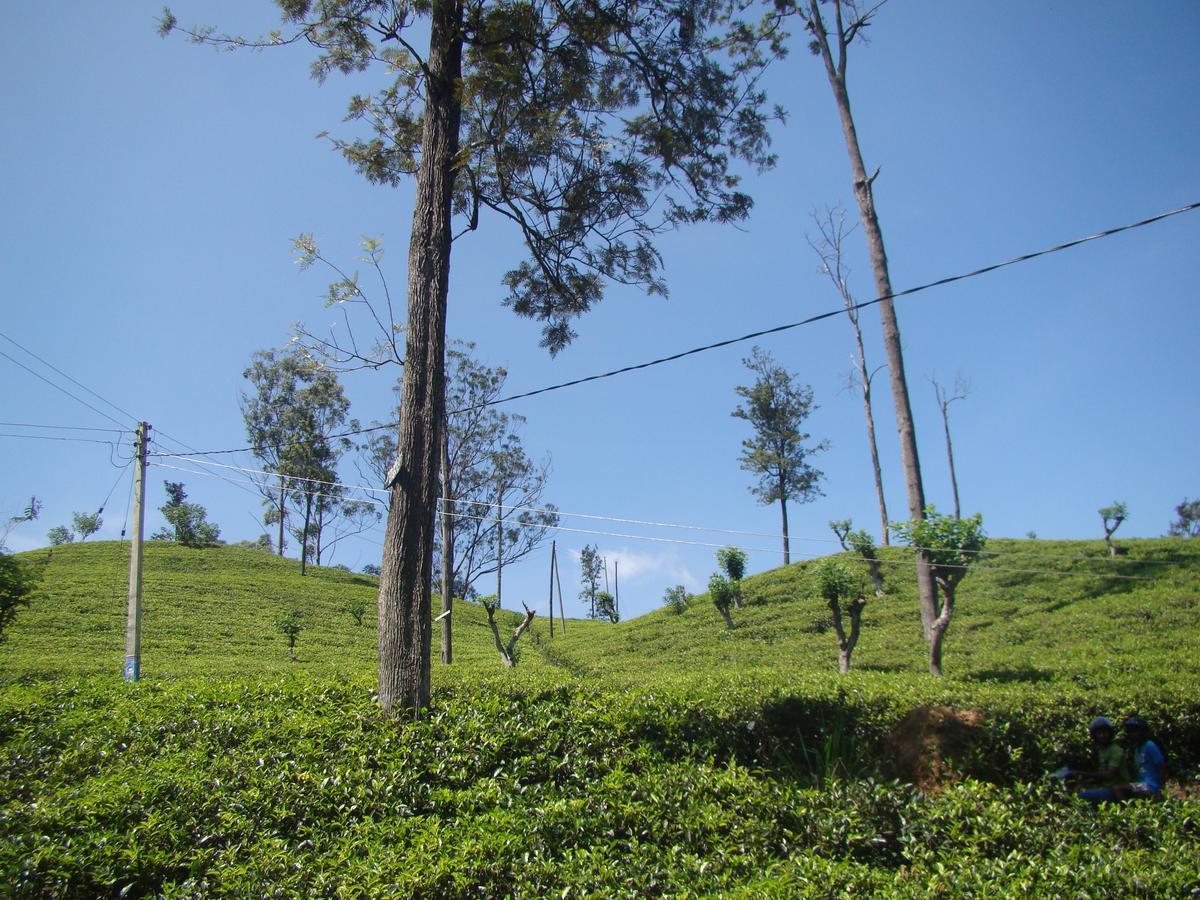 Ella Tea Land View Apartment Bagian luar foto