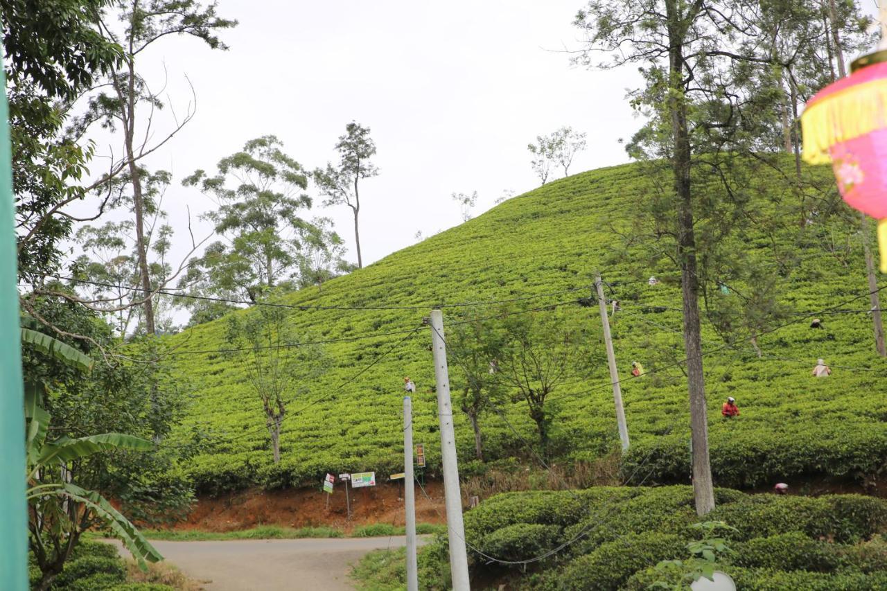 Ella Tea Land View Apartment Bagian luar foto