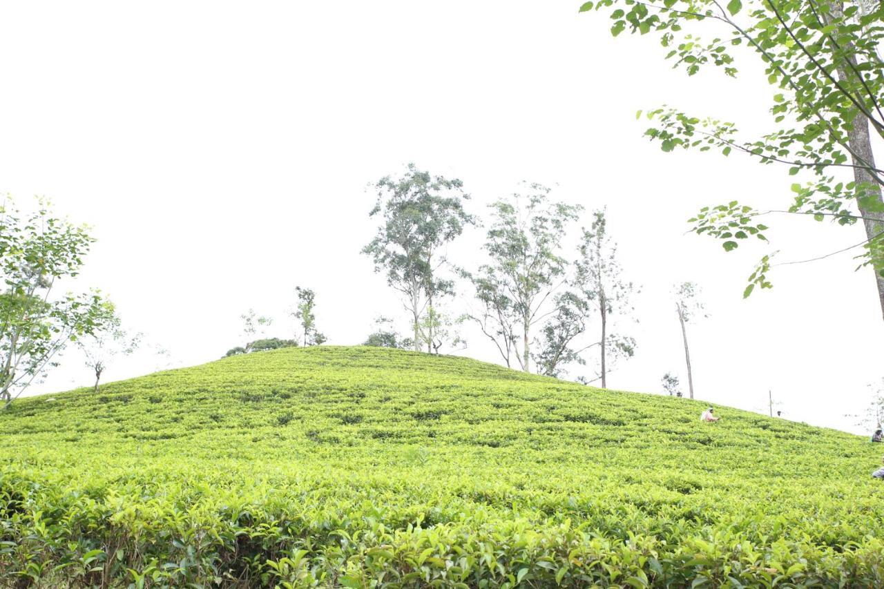 Ella Tea Land View Apartment Bagian luar foto