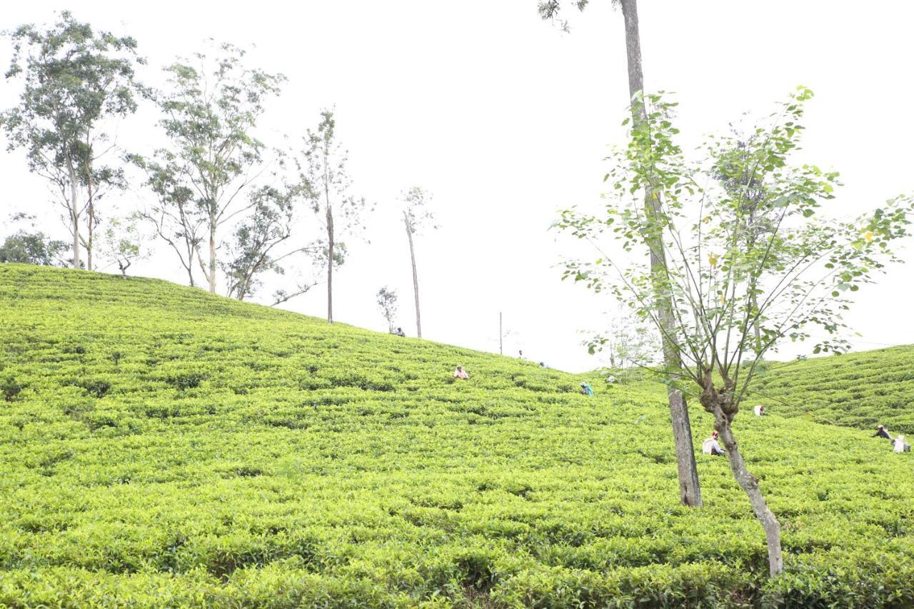Ella Tea Land View Apartment Bagian luar foto